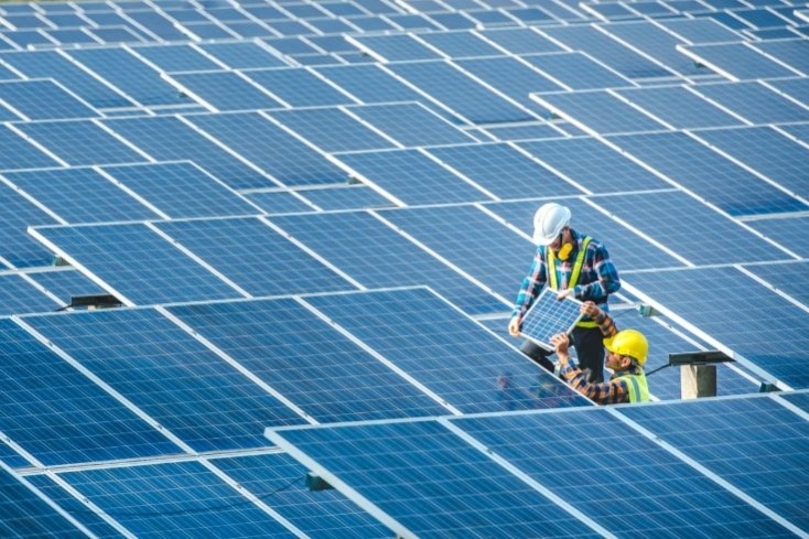 Photo of a two workers installing a solar panel in a solar farm of many solar panels