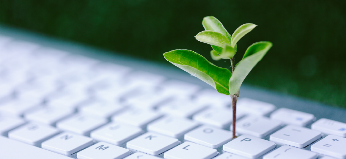 Read this insight about sustainable business models in a new tab.