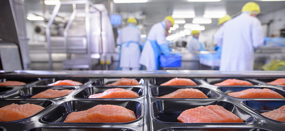 Workers in a fish factory portioning cuts of salmon