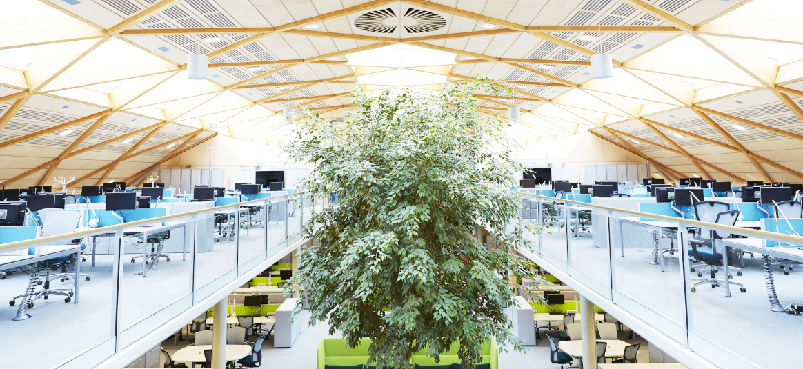 Photo of an open two storey plan office with a tree in the centre