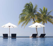 Sun loungers by a pool and palm tree