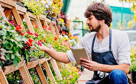 Photo of a man in apron inspecting trays of flowers