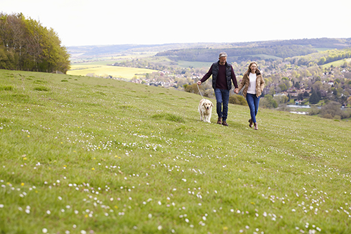 Man and woman walking dog 