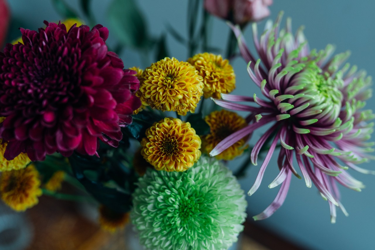 Flowers
